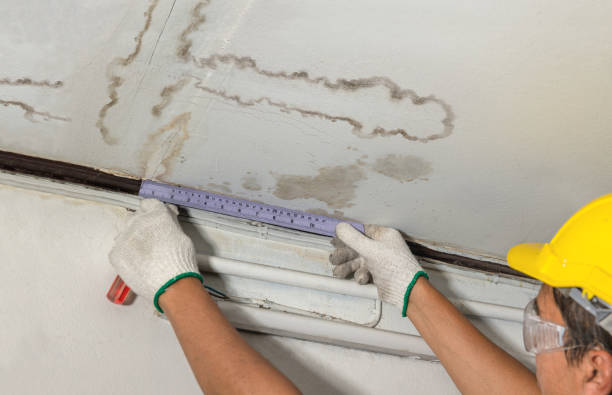 Reliable Water Damage contractor in Winner, SD by Water Damage Irwin